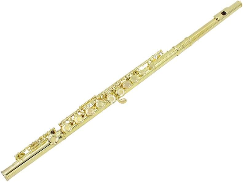 Promo image for Golden 16 Holes C Tone Flute with E Key Woodwind