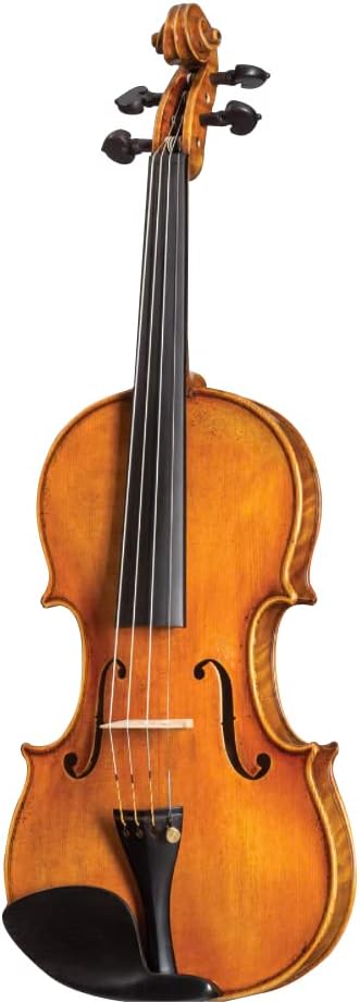 Promo image for D Z Strad Violin Model 800 Full Size 4/4 with Dominant Strings, Bow, Case and Rosin